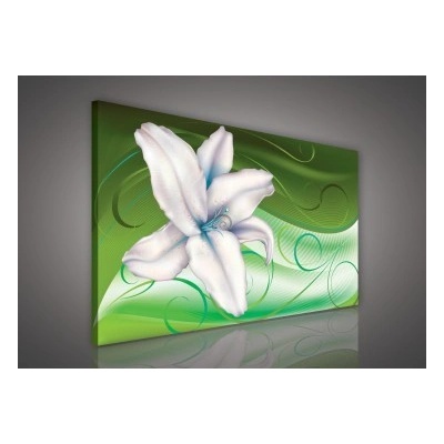 Obraz na plátne obdĺžník - OB0168 - Modrobiely kvet 100cm x 75cm - O1