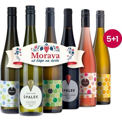 Vinařství Špalek Špalkove fľašky 6 x 0,75 l (čistá fľaša)