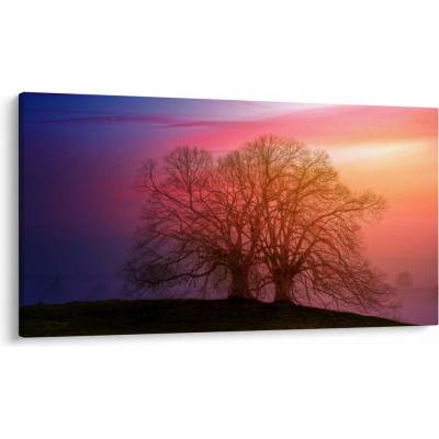 Obraz stromov v hmle, jednodielne 120x70 cm