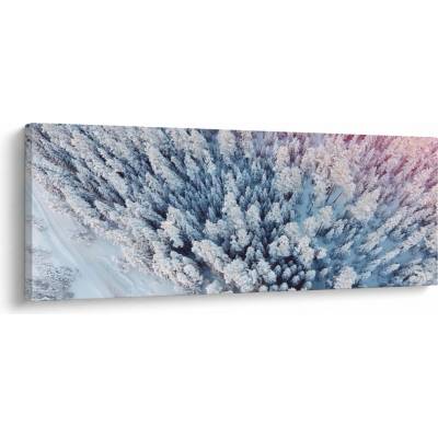 Obraz zasnežených stromov, jednodielne 100x40 cm