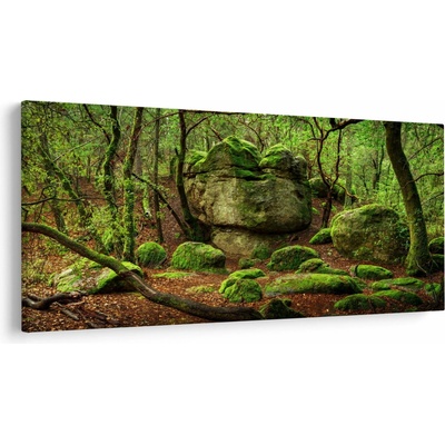 Obraz čarovného lesa, jednodielne 250x125 cm