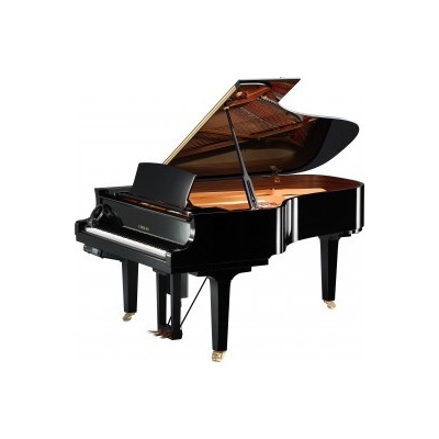 Yamaha DC6X EN Pro PE