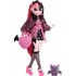 Mattel Monster High Doll Draculaura With Pet HHK51