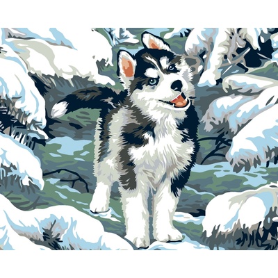 ZUTY Malování podle čísel MALÝ HUSKY 40 x 50 cm – Hledejceny.cz
