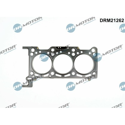 DR.MOTOR AUTOMOTIVE Tesnenie hlavy valcov DRM21262