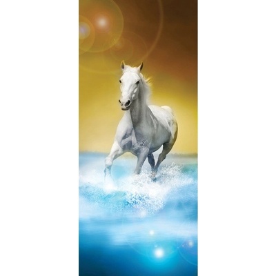 Preinterier Fototapeta - DV0186 - Kôň Samolep. fólia - 91cm x 211cm