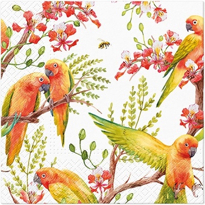 PAW Obrúsky L Exotic birds 33x33cm