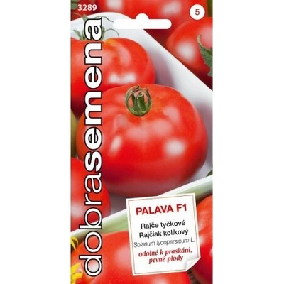 Rajčiak kolíkový Palava F1 DS 3289
