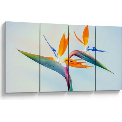 Obraz kvetu Strelícia, štvordielne 160x80 cm