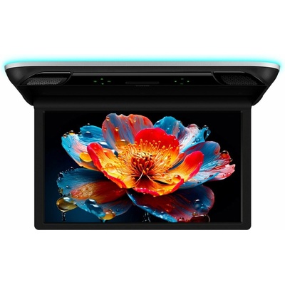 Xtrons CM215HD