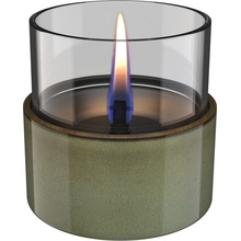 Tenderflame Aster 10 Reactive Glaze Zelená