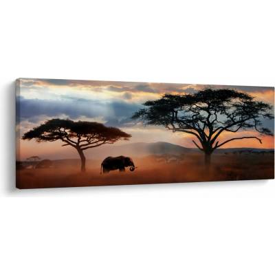 Obraz - Národný park Serengeti, Tanzánia, Afrika, jednodielne 100x40 cm