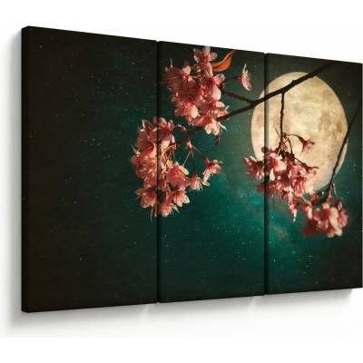 Obraz - Sakura v splne, trojdielne 120x80 cm