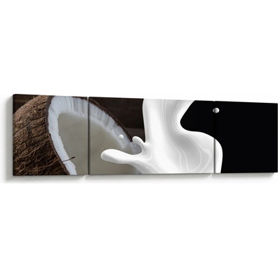 Obraz - kokosové mléko, třídílný 170x50 cm