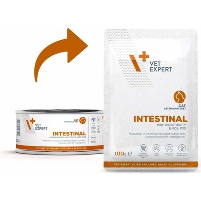 Vet Expert VD Cat Intestinal 100 g