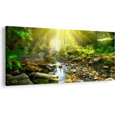 Obraz rieky v zelenom lese, jednodielne 250x125 cm