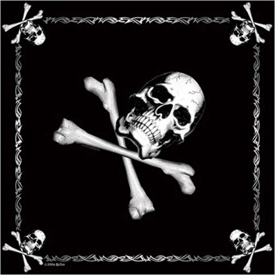 Šátek Rothco Jolly Roger černý – Hledejceny.cz