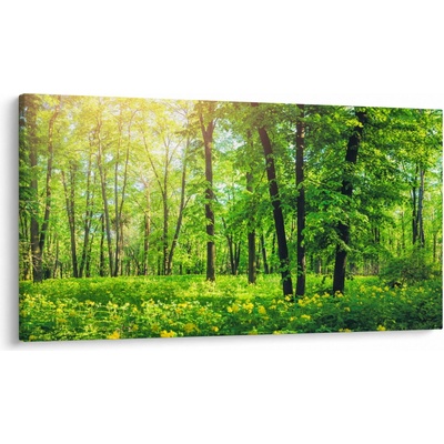 Obraz - Jarní listnatý les, jednodílný 120x70 cm