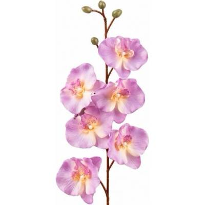 Umelá orchidea L728-06