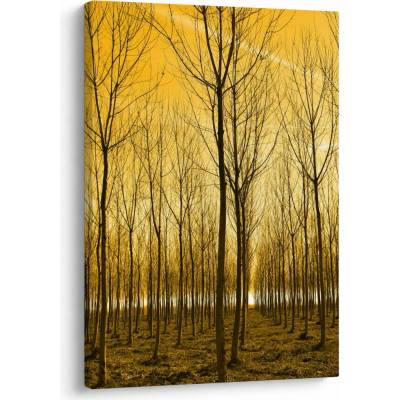 Obraz lesa pri západe slnka, jednodielny 50x70 cm