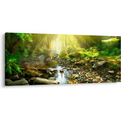 Obraz řeky v zeleném lese, jednodílný 120x50 cm