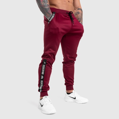 Jogger Iron Aesthetics Partial bordo