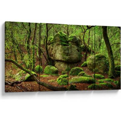 Obraz kouzelného lesa, Čtyřdílný 160x80 cm