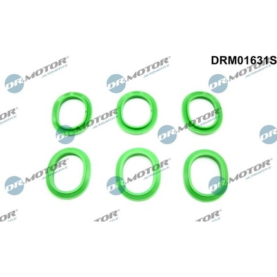 Sada tesnení kolena nasávacieho potrubia Dr.Motor Automotive DRM01631S