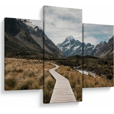 Obraz - Chodník v údolí hory Mt. Cook, třídílný 90x60 cm