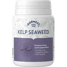 Dorwest Mořská řasa Kelp 100 tbl