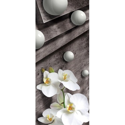 Preinterier Fototapeta - DV0560 - samolep. fólia - 91cm x 211cm