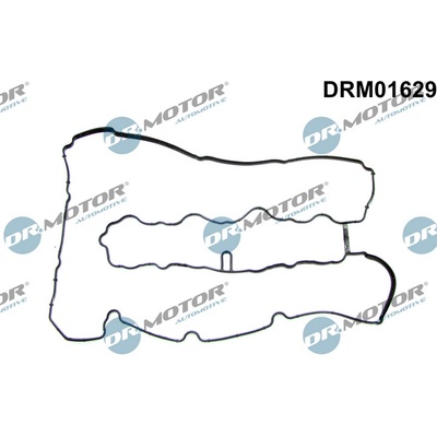 DR.MOTOR AUTOMOTIVE Tesnenie veka hlavy valcov DRM01629