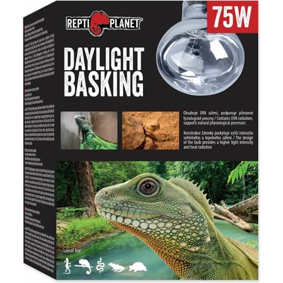 Repti Planet Daylight Basking 75 W