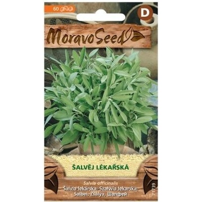 Šalvia lekárska MoravoSeed