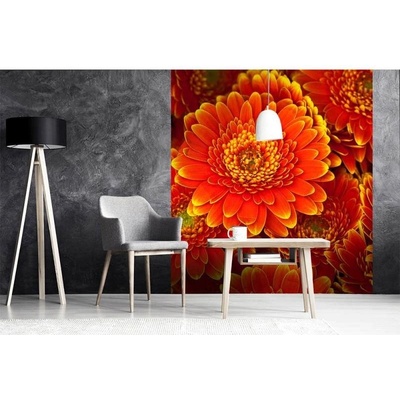 Dimex MS-3-0131 vliesová fototapeta na zeď Gerbera rozměry 225 x 250 cm