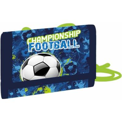 Karton P+P Prémium LIGHT Futbal 2 Modrá