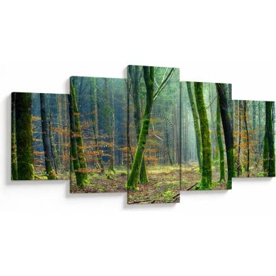 Obraz lesa (s hodinami), päťdielne 150x80 cm s hodinami