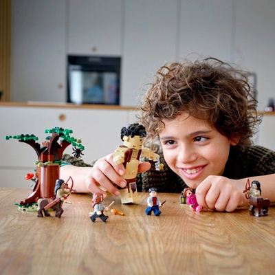 LEGO® Harry Potter™ 75967 Zapovězený les: Setkání Drápa a profesorky Umbridgeové
