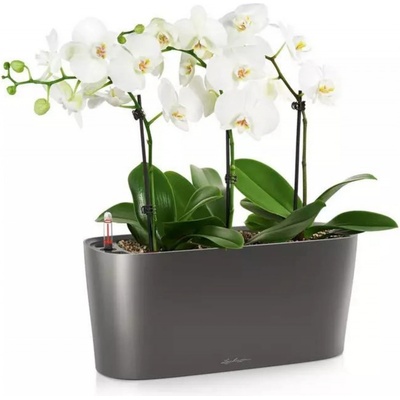 Lechuza Květináč Delta Antracit 20 cm