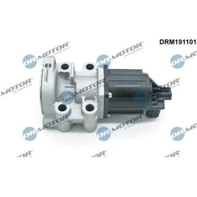DR.MOTOR AUTOMOTIVE AGR - Ventil DRM191101