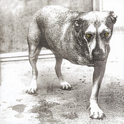 Alice In Chains - Alice in Chains CD