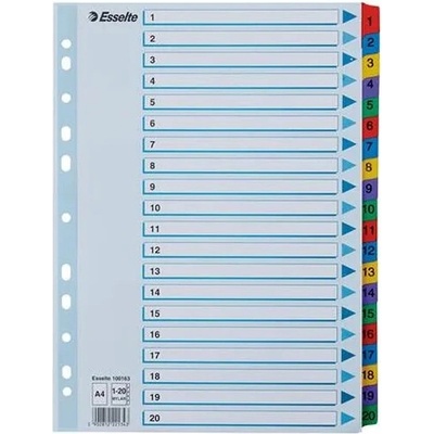 ESSELTE Register, kartón, A4, 1-20, ESSELTE "Mylar"