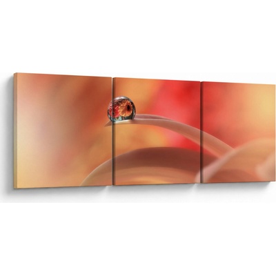 Obraz květinové kapky rosy, třídílný 90x30 cm