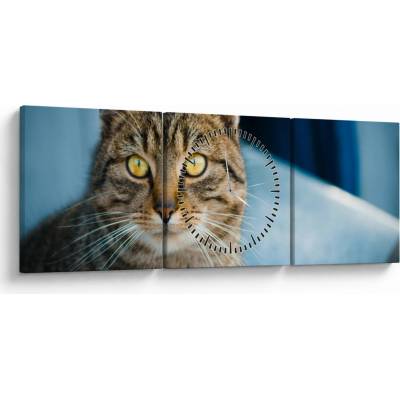 Obraz - Mačka domáca (s hodinami), trojdielne 90x30 cm s hodinami