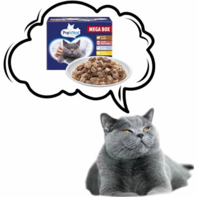 PREVITAL Cat Food Megabox s jehněčím, hovězím, králíkem a kuřetem v omáčce Box 24 x 100 g