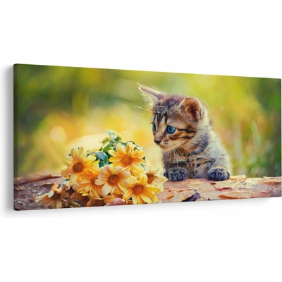 Obraz mačiatka pozerajúce sa na kvetinu, jednodielne 200x100 cm
