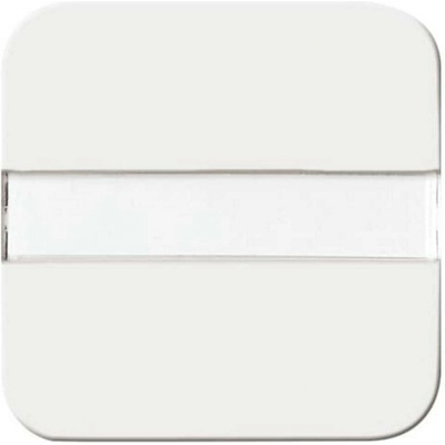 Busch-Jaeger 2CKA001731A1452