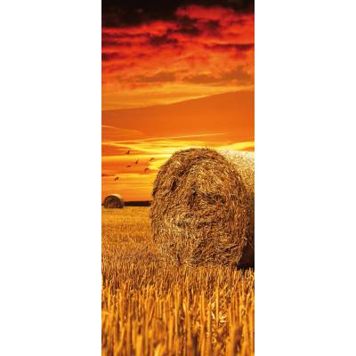 Preinterier Fototapeta - DV0179 - Pole Samolep. fólia - 91cm x 211cm