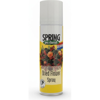 Floristický sprej na sušené kvety SPRING pro florist 300 ml