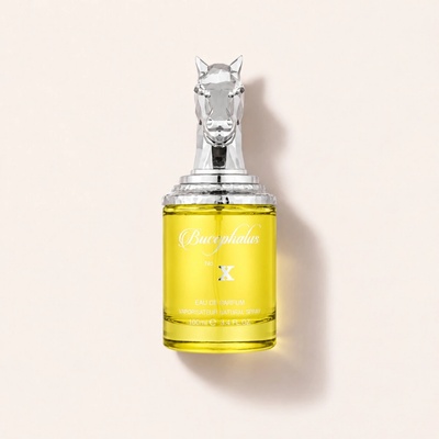 Armaf Bucephalus No. X parfémovaná voda pánská 100 ml